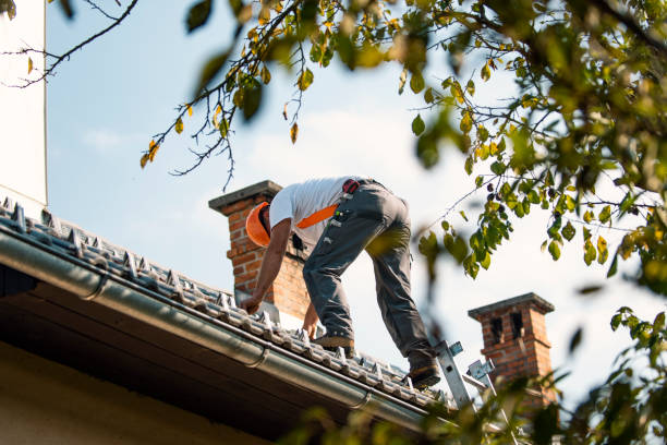 Roof Gutter Cleaning in Cicero, IL
